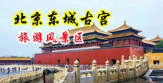 大鸡巴爆草中国北京-东城古宫旅游风景区