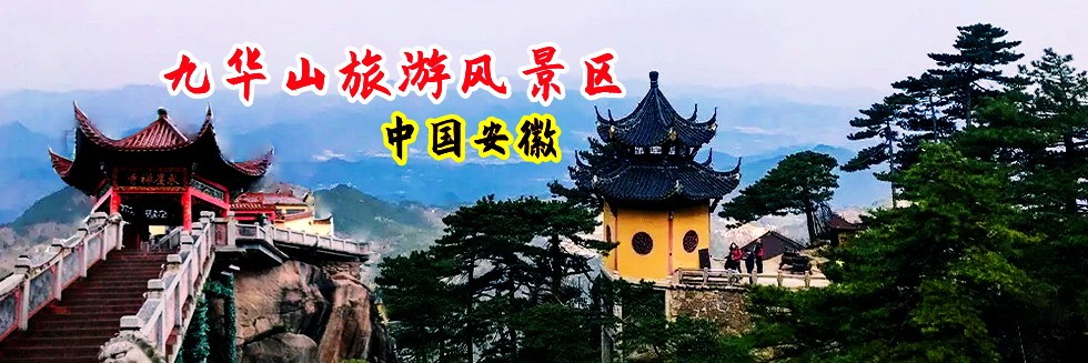 逼操逼