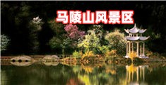 中国老女人AV